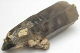 Tessin Habit Smoky Quartz Crystal with Feldspar - Nigeria #207994-1